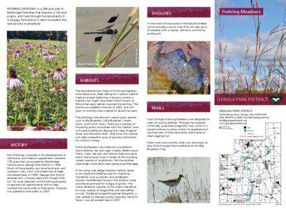 Geauga County /  Ohio / Andropogon gerardii / Bluestem grass / Schizachyrium scoparium / Flora of the United States / Flora of North America / Geauga Park District