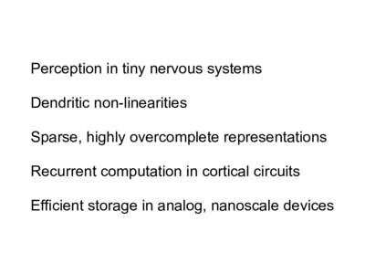 Perception in tiny nervous systems Dendritic non-linearities Sparse, highly overcomplete representations Recurrent computation in cortical circuits Efficient storage in analog, nanoscale devices