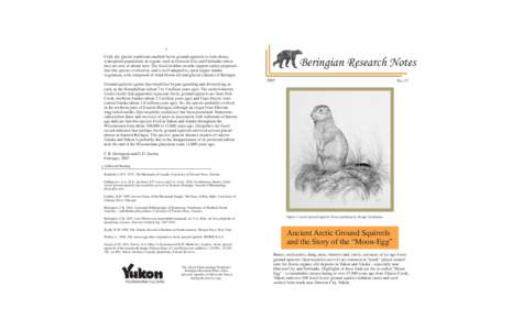 4  Cold, dry glacial conditions enabled Arctic ground squirrels to form dense, widespread populations in regions such as Dawson City and Fairbanks where they are rare or absent now. The fossil midden records support earl