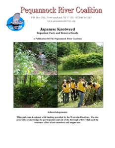 Garden pests / Land management / Biology / Flora of Japan / Japanese knotweed / Fallopia / Weed control / Weed / Polygonum / Polygonaceae / Agriculture / Invasive plant species