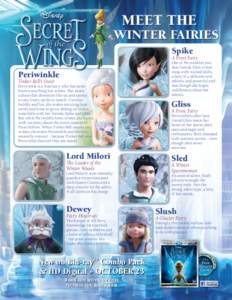 meet the  Winter Fairies Spike  A Frost Fairy