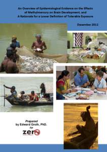 An Overview of Epidemiological Evidence on the Effects of Methylmercury on Brain Development, and A Rationale for a Lower Definition of Tolerable Exposure An Overview of Epidemiological Evidence on the Effects of Methylm