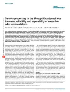 © 2007 Nature Publishing Group http://www.nature.com/natureneuroscience  ARTICLES Sensory processing in the Drosophila antennal lobe increases reliability and separability of ensemble