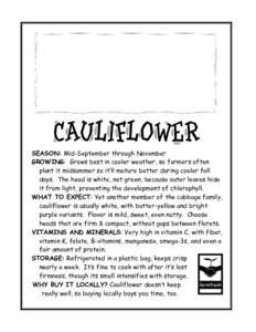 CAULIFLOWER SEASON: Mid-September through November GROWING: Grows best in cooler weather, so farmers often plant it midsummer so it’ll mature better during cooler fall days. The head is white, not green, because outer 