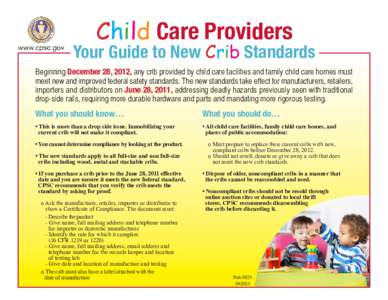 Child Care Providers  Your Guide to New Crib Standards Beginning December 28, 2012, any crib provided by child care facilities and family child care homes must meet new and improved federal safety standards. The new stan