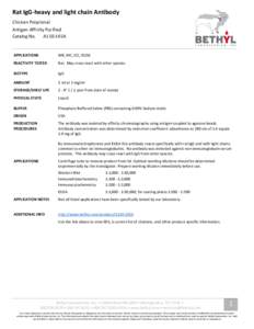 Rat IgG-heavy and light chain Antibody Chicken Polyclonal Antigen Affinity Purified Catalog No. A110-145A