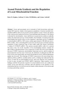 Axonal Protein Synthesis and the Regulation of Local Mitochondrial Function Barry B. Kaplan, Anthony E. Gioio, Mi Hillefors, and Armaz Aschrafi Abstract Axons and presynaptic nerve terminals of both invertebrate and mamm