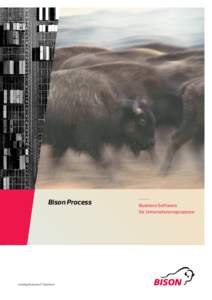 Bison Process  Leading Business IT Solutions Business Software für Unternehmensprozesse