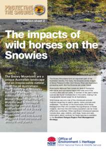 Information sheet 2  The impacts of wild horses on the Snowies The Snowy Mountains are a