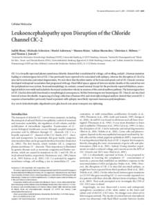 The Journal of Neuroscience, June 13, 2007 • 27(24):6581– 6589 • 6581  Cellular/Molecular Leukoencephalopathy upon Disruption of the Chloride Channel ClC-2