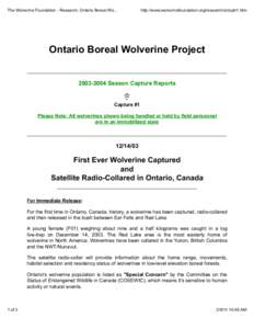 The Wolverine Foundation - Research, Ontario Boreal Wo...  http://www.wolverinefoundation.org/research/ontcptr1.htm Ontario Boreal Wolverine Project