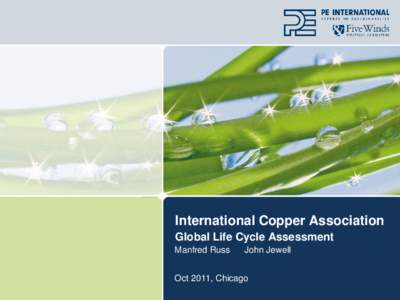 International Copper Association Global Life Cycle Assessment Manfred Russ John Jewell