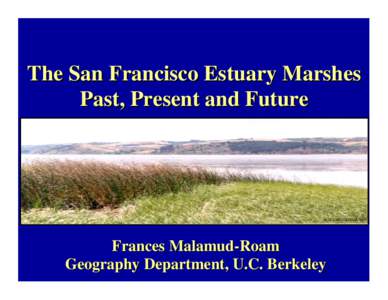 The San Francisco Estuary Marshes Past, Present and Future MALAMUD-ROAM, 1999  Frances Malamud-Roam