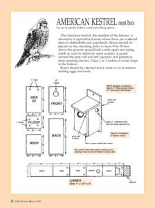 AMERICAN KESTREL nest box  Can also be used for northern screech owl or flying squirrel. The American kestral, the smallest of the falcons, is abundant in agricultural areas where there are scattered