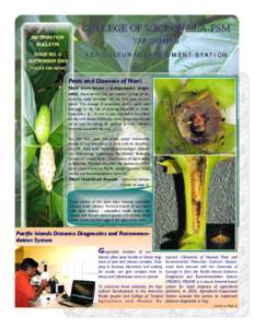 COLLEGE OF MICRONESIA MICRONESIA--FSM INFORMATION BULLETIN ISSUE NO. 6 SEPTEMBER 2008