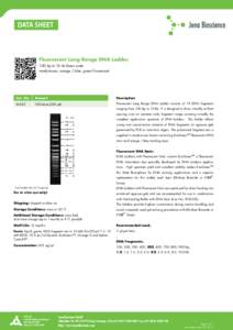 Fluorescent Long Range DNA Ladder 100 bp to 10 kb linear scale ready-to-use, orange / blue, green fluorescent Cat. No.