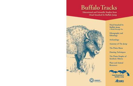 Buffalo Tracks Head-Smashed-In Buffalo Jump A World Heritage Site  Ethnography and