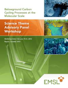 Belowground Carbon Cycling Processes at the Molecular Scale