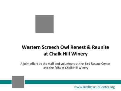 Western Screech Owl Renest & Reunite at Chalk Hill Winery A joint effort by the staff and volunteers at the Bird Rescue Center and the folks at Chalk Hill Winery  www.BirdRescueCenter.org