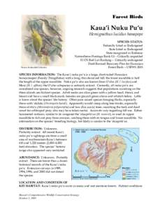 Drepanidinae / Fringillidae / ʻAkiapolaʻau / Nukupu‘u / Kauaʻi Nukupuʻu / ʻŌʻū / Endangered species / Endemic birds of Hawaii / Fauna of the United States / Hawaiian honeycreepers / Hemignathus