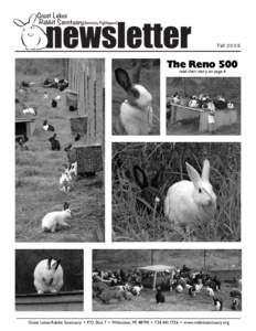 Agriculture / Domestic rabbit / Rabbit / House rabbit / Clicker training / Watership Down / Pet rabbits / Zoology / Biology