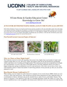 UConn Home & Garden Education Center Knowledge to Grow On! www.ladybug.uconn.edu JUNE IS FOR JETTISONED MAPLE SEEDS, JACK IN THE PULPIT & JALAPENOS! Hello Fellow Gardeners! You are receiving this email because you have p