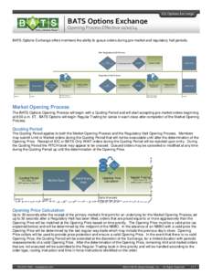 Finance / Financial markets / Futures contract / Day trading / Mathematical finance / Options Price Reporting Authority / Trading halt / Stock market / Financial economics / Investment