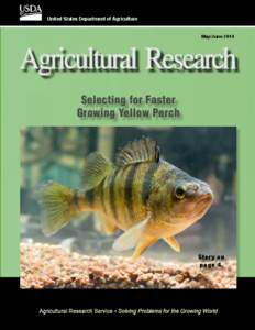 United States Department of Agriculture May/June 2014 Selecting for Faster Growing Yellow Perch