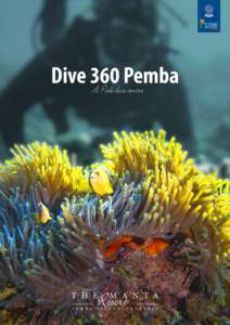 Dive 360 Pemba A Padi dive centre About Dive 360 Pemba The diving around Pemba is nothing else but breathtaking. The untouched coral reef surrounding the entre island makes Pemba one of the top dive sites in the world. 