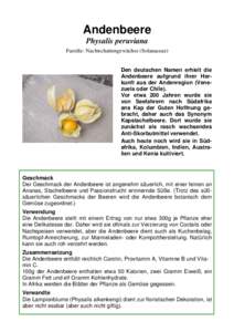 Andenbeere Physalis peruviana Familie: Nachtschattengewächse (Solanaceae)