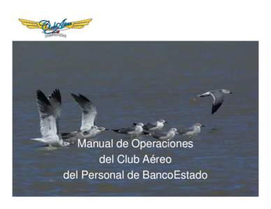 Manual de Operaciones del Club Aéreo del Personal de BancoEstado www.clubaereo.cl  Antecedentes