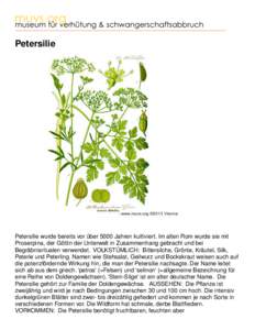 Petersilie  Petersilie wurde bereits vor über 5000 Jahren kultiviert. Im alten Rom wurde sie mit