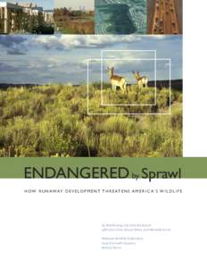 ENDANGERED by Sprawl H O W R U N AWAY D E V E L O P M E N T T H R E AT E N S A M E R I C A ’ S W I L D L I F E by Reid Ewing and John Kostyack with Don Chen, Bruce Stein, and Michelle Ernst National Wildlife Federation