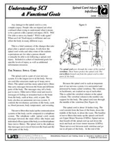 Understanding SCI & Functional Goals Any damage to the spinal cord is a very complex injury. People who are injured are often confused when trying to understand what it means to be a person with a spinal cord injury (SCI