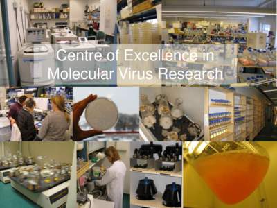 Centre of Excellence in Molecular Virus Research • Origins and evolution of viruses • Organization of the viral universe • How viruses operate?
