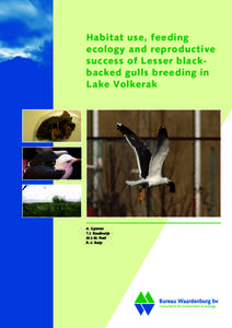 Habitat use, feeding ecology and reproductive success of Lesser blackbacked gulls breeding in Lake Volkerak  A. Gyimesi