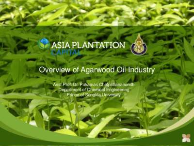 Overview of Agarwood Oil Industry Asst.Prof. Dr. Pakamas Chetpattananondh Department of Chemical Engineering