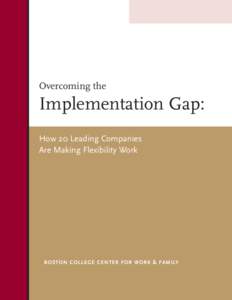 Overcoming the  Implementation Gap: How 20 Leading Companies Are Making Flexibility Work