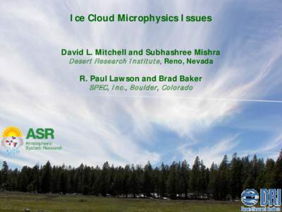 Ice Cloud Microphysics Issues David L. Mitchell and Subhashree Mishra Desert R esearch I nstitute, Reno, Nevada R. Paul Lawson and Brad Baker SP EC, I nc., Boulder, Colorado