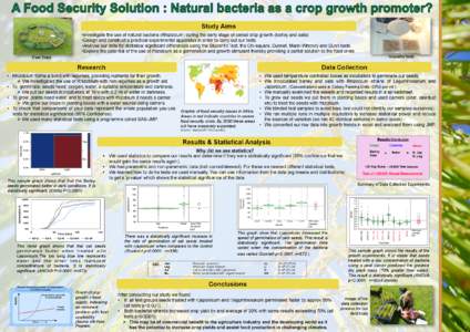 Study Aims • Investigate the use of natural bacteria (Rhizobium) during the early stage of cereal crop growth (barley and oats). • Design and construct a practical experimental apparatus in order to carry out our