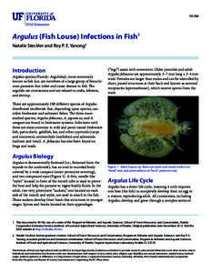 FA184  Argulus (Fish Louse) Infections in Fish1 Natalie Steckler and Roy P. E. Yanong2  Introduction