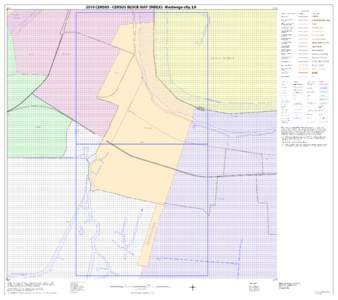 2010 Census - Census Block Map