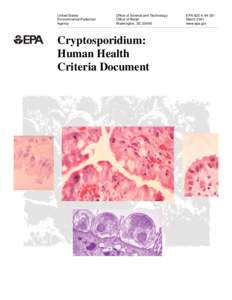 Cryptosporidium: Human Health Criteria Document