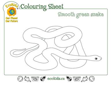 Colouring Sheet Smooth green snake 