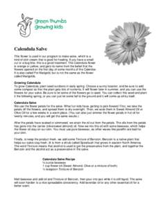 Calendula Salve This flower is used in our program to make salve, which is a kind of skin cream that is good for healing. If you have a small cut or a bug bite, this is a good treatment. The Calendula flower is orange or