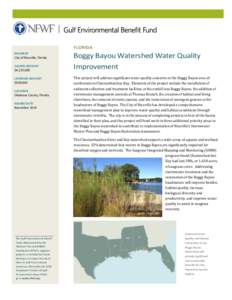 Choctawhatchee River / Hydrology / Bayou / Choctawhatchee Bay / Seagrass / Stormwater / Okaloosa County /  Florida / Watershed management / Geography of Florida / Geography of the United States / Geography of Alabama