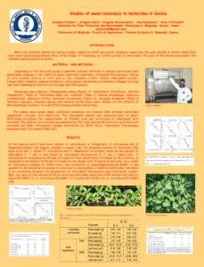 Studies of weed resistance to herbicides in Serbia Danijela Pavlovic1*, Dragana Bozic2, Dragana Marisavljevic1, Ana Andjelkovic1, Sava Vrbnicanin2 1Institute for Plant Protection and Environment, Nemanjina 6, Belgrade, S