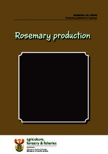 ESSENTIAL OIL CROPS Production guidelines for rosemary Rosemary production  agriculture,