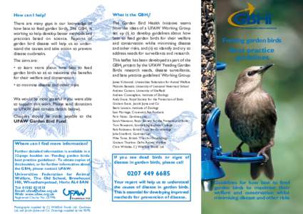 Garden_bird_feeding_leaflet_finalised.qxd