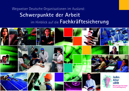 Wegweiser Deutsche Organisationen im Ausland: Schwerpunkte der Arbeit